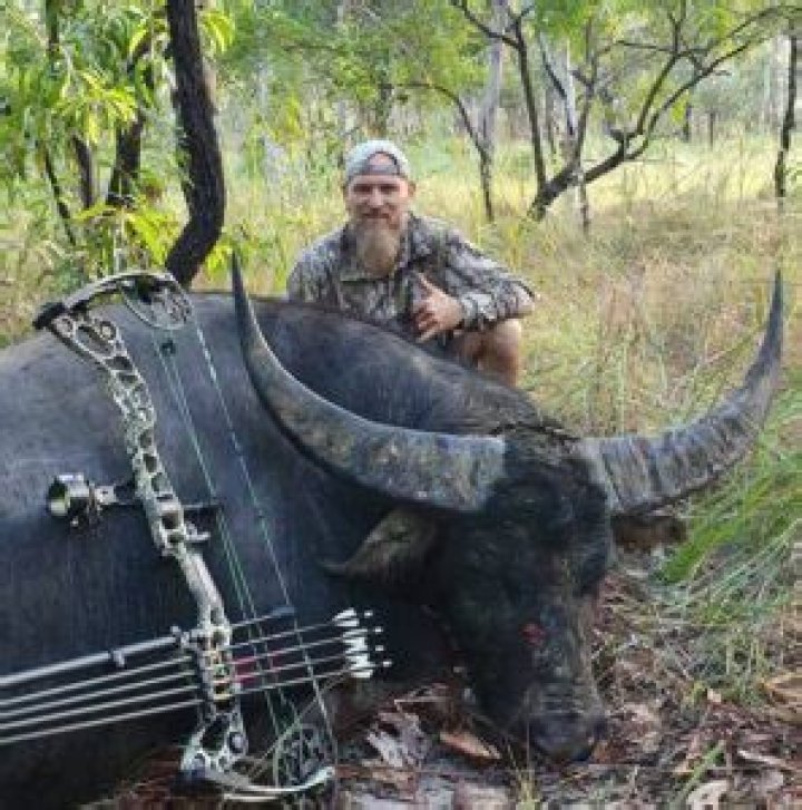 Australian Trophy Hunter Gored By Buffalo That He Shot