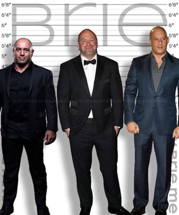 How tall is Dana White