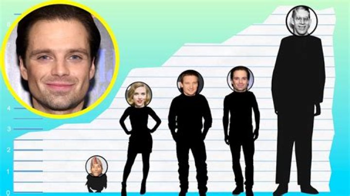 How tall is Sebastian Stan