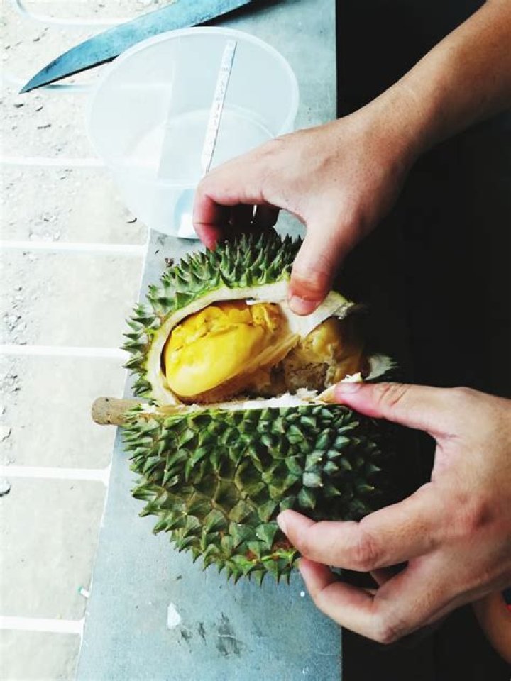 What Is Durian, The Southeast Asian Fruit Said To Smell Like Death?